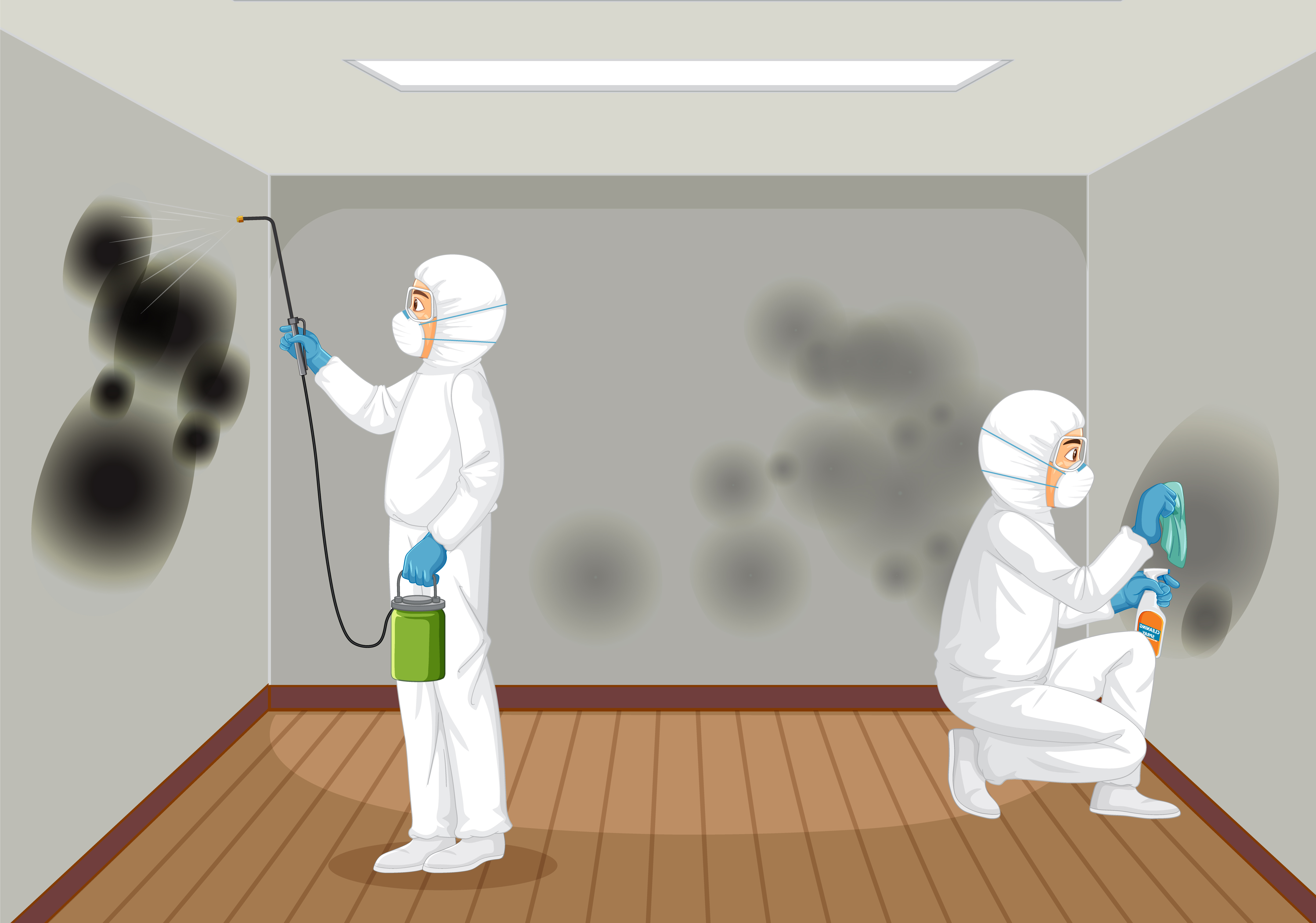 Mold Remediation Costs Maryland: Why Delay Costs More