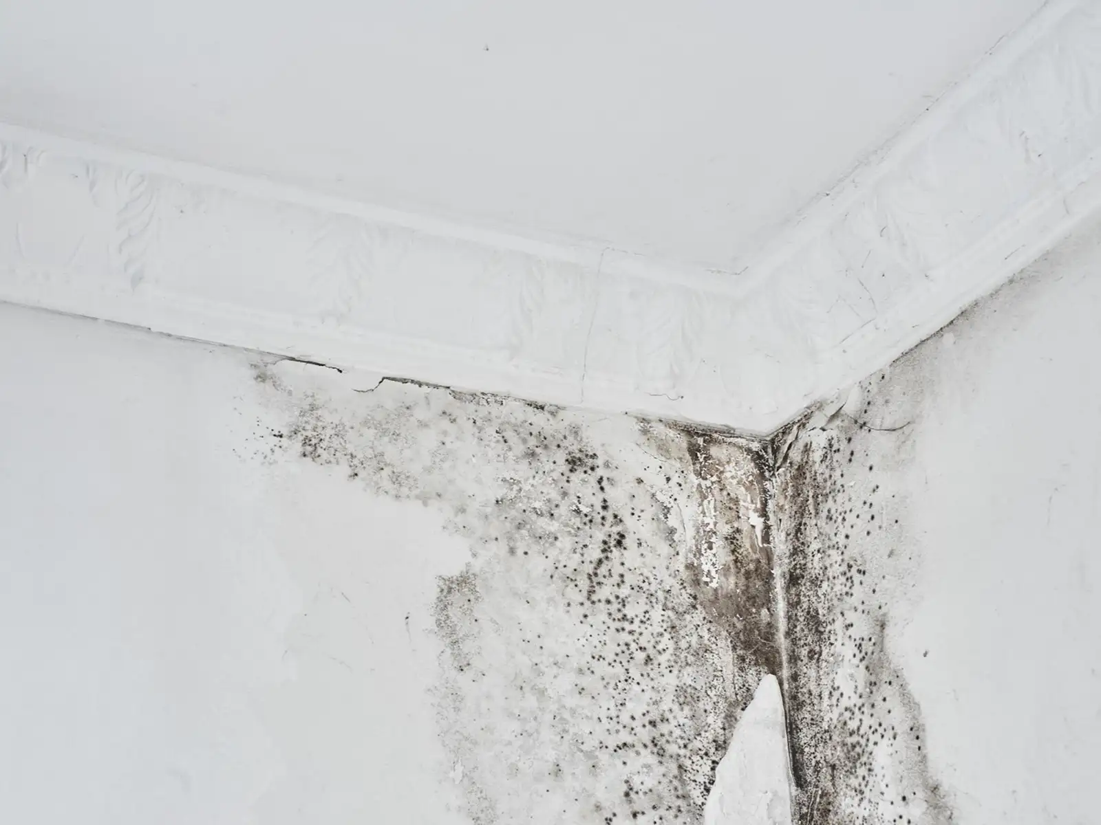 Emergency Property Restoration Services