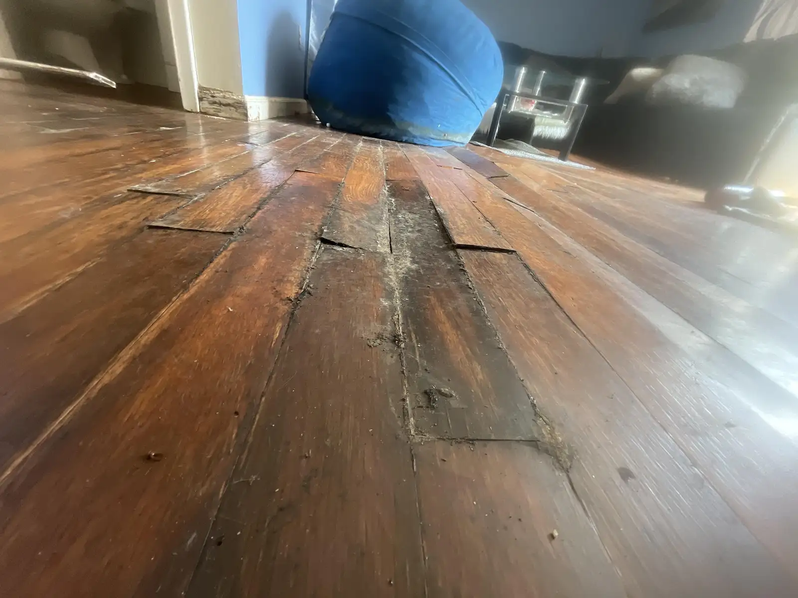 Water Damage & Flood Cleanup Services